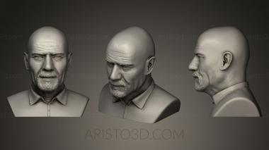 Busts and bas-reliefs of famous people (BUSTC_0648) 3D model for CNC machine